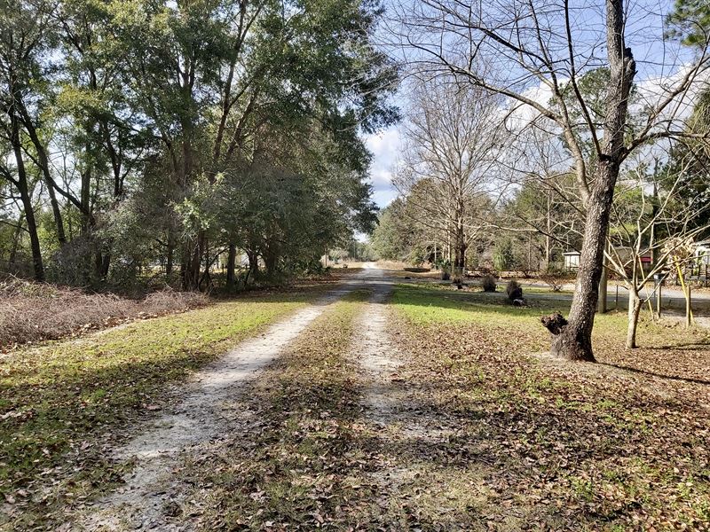 Secluded High & Dry Building Lot : Satsuma : Putnam County : Florida