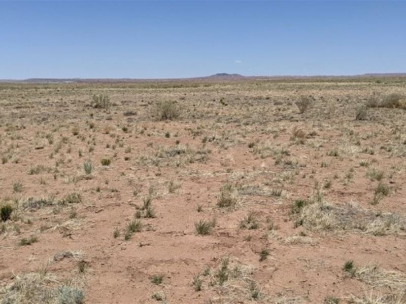 Perfect Lot at $80 A Month : Holbrook : Apache County : Arizona
