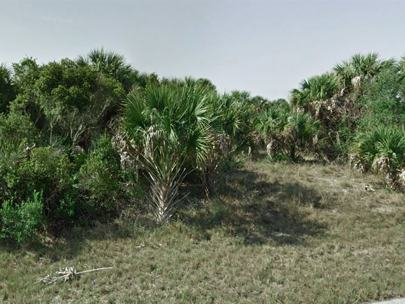 Beautiful Land with Exquisite Views : Port Charlotte : Charlotte County : Florida