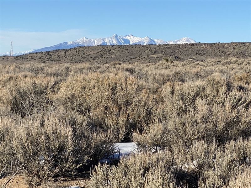 Save Your Money with This 1/2 Acre : San Luis : Costilla County : Colorado