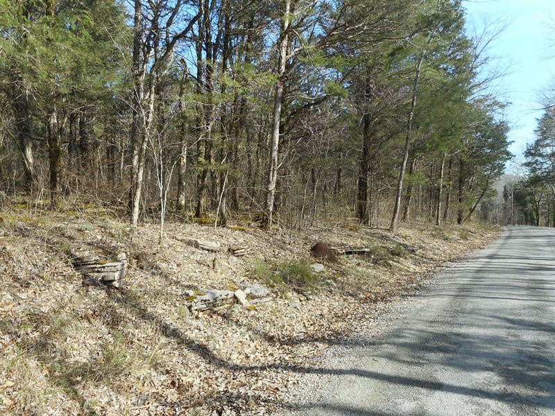 Land for Sale in TN Near Fishing : Clifton : Wayne County : Tennessee