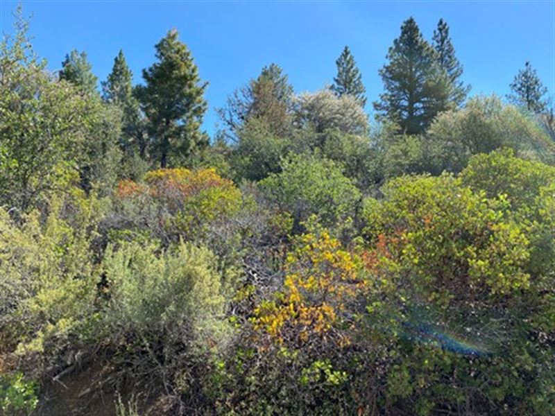 Over 11 Acres : Bonanza : Klamath County : Oregon
