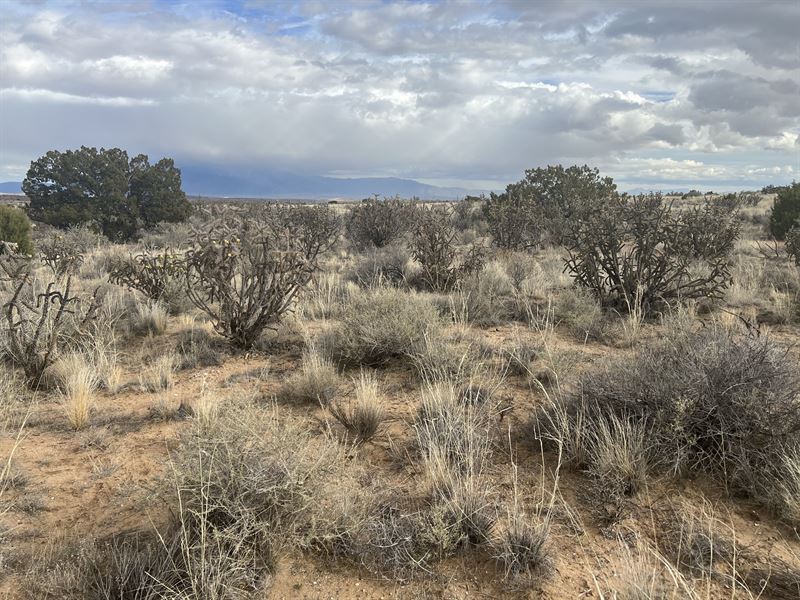 Beautiful Lot Waiting to be Claimed : Bernalillo : Sandoval County : New Mexico