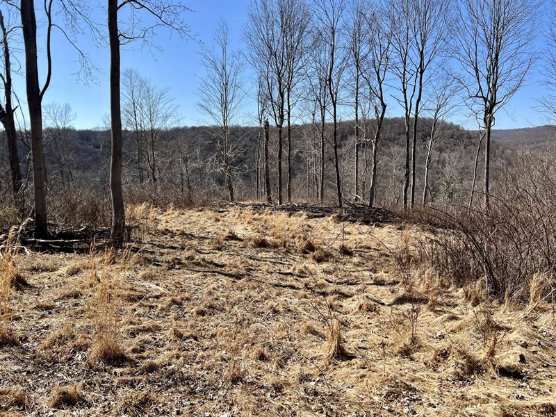 Darlington Rector Rd, Ligonier, 1 : Ligonier : Westmoreland County : Pennsylvania