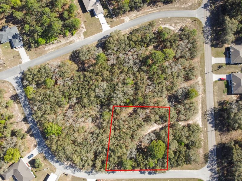 Double Lot in Famous Citrus Springs : Citrus Springs : Citrus County : Florida