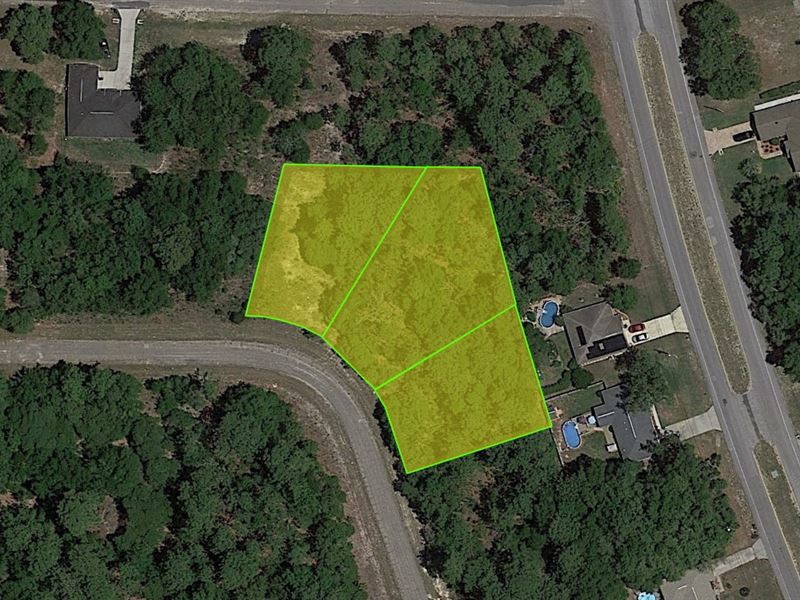 Unique Triple Lot Available : Citrus Springs : Citrus County : Florida