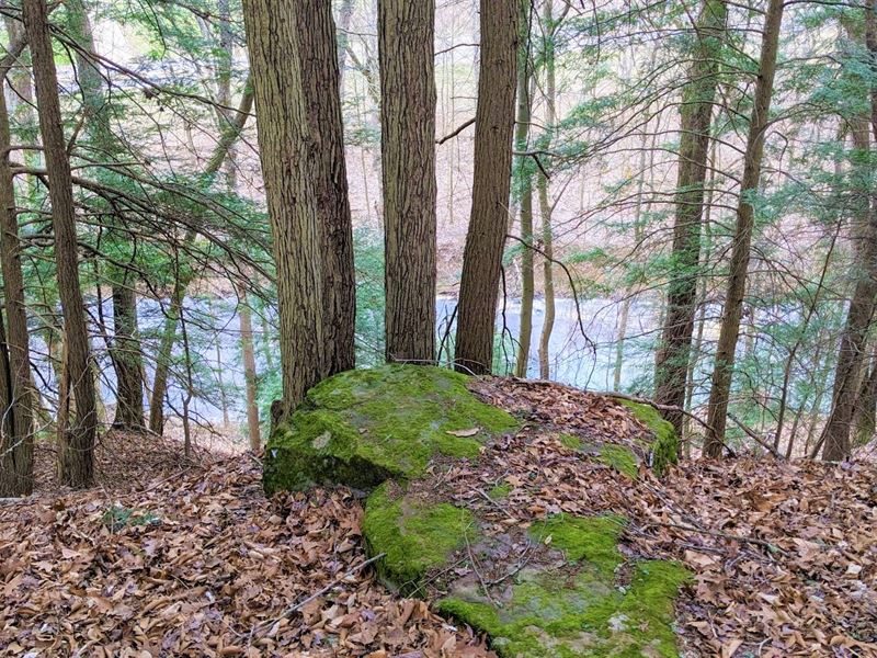 Hocking County, Ohio Land for Sale : New Plymouth : Hocking County : Ohio