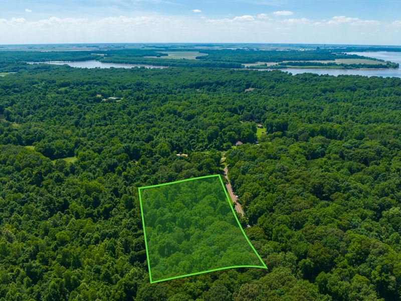 Wooded Lot, Power, Near Public Land : Fulton : Lauderdale County : Tennessee