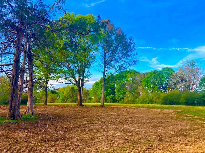 Topisaw 15 Homeplace : Bogue Chitto : Lincoln County : Mississippi