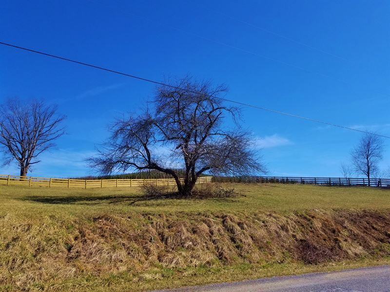 One Acre Tract, Gorgeous Views : Elk Creek : Grayson County : Virginia