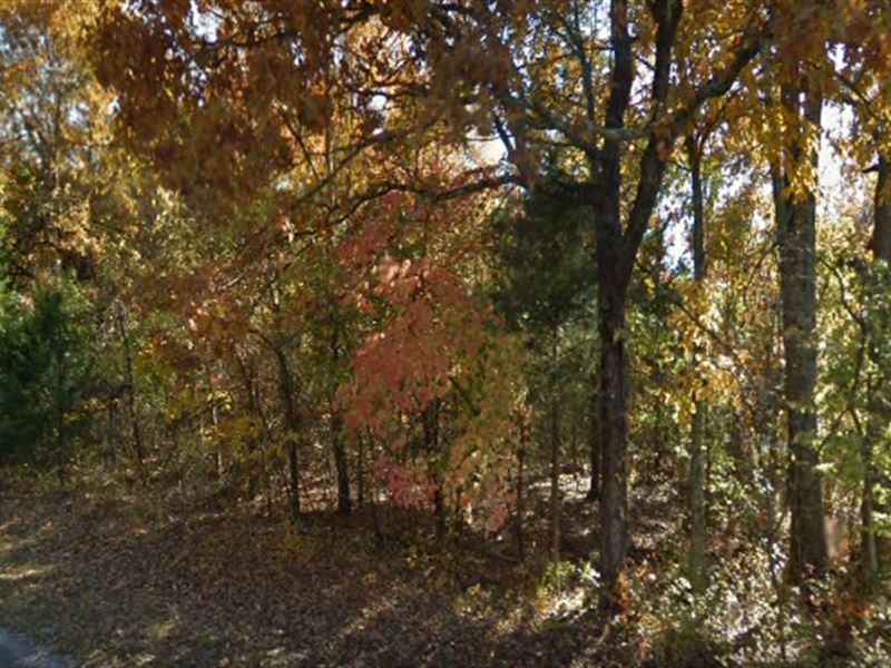 Corner Lot by Lake and Golf Course : Horseshoe Bend : Izard County : Arkansas