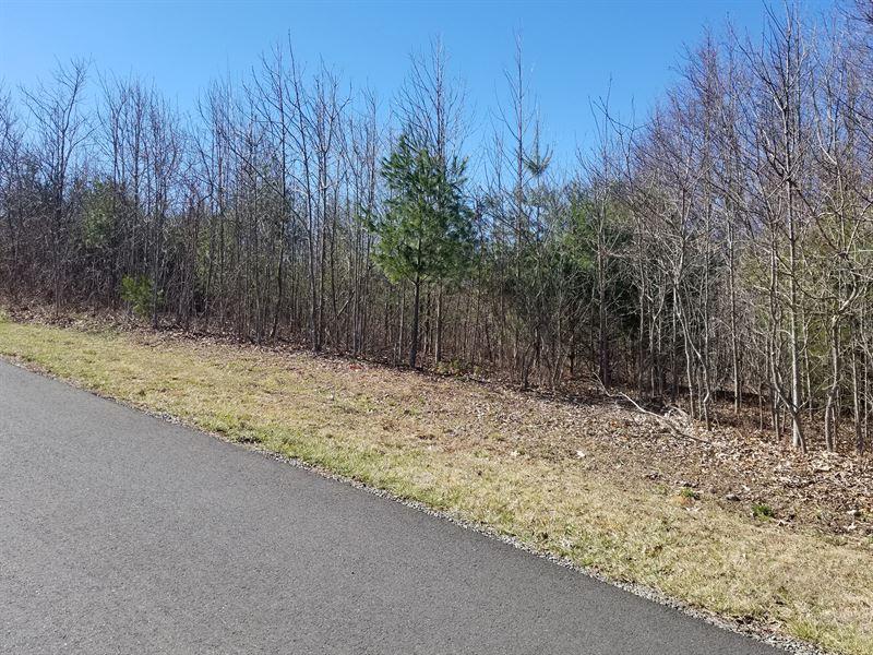 Residential Acreage with View : Galax : Grayson County : Virginia