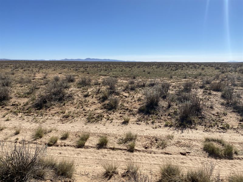 Investment Opportunity : Valencia : Valencia County : New Mexico