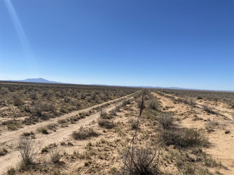 Corner Lots Are Always The Best : Valencia : Valencia County : New Mexico