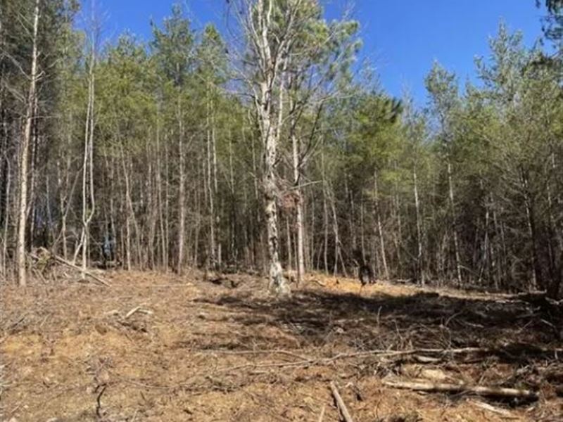 .78 Acre for Sale in Murphy, NC : Murphy : Cherokee County : North Carolina