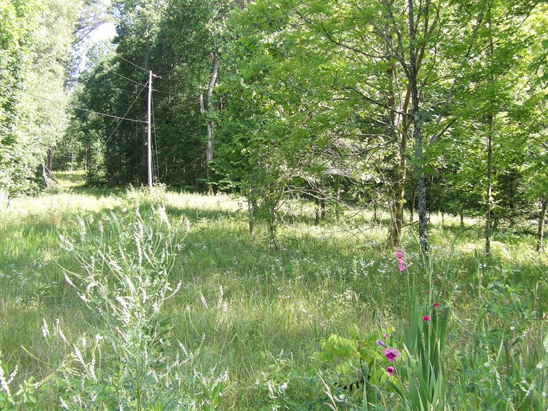 Creek, Well, Homesite, Near Park : Pikeville : Bledsoe County : Tennessee