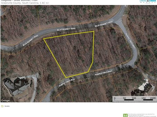 Purple Finch Way, The Cliffs at Mou : Marietta : Greenville County : South Carolina