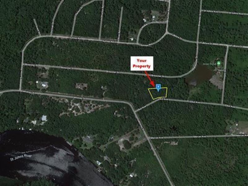 $217/Mo, RV Friendly Lot Near River : Satsuma : Putnam County : Florida