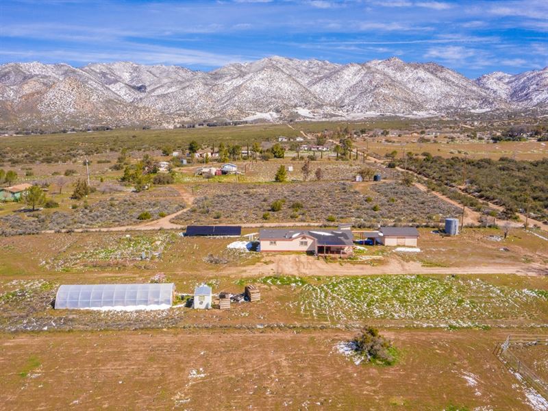 Skyway Homestead : Ranchita : San Diego County : California