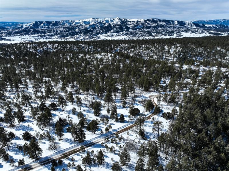 Stunning Lot Near Pagosa Springs : Pagosa Springs : Archuleta County : Colorado