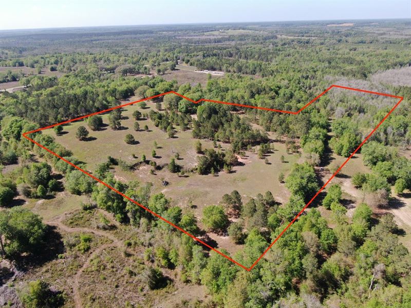Amazing 18 Acre Hunting/Recreationa : Greenville : Madison County : Florida