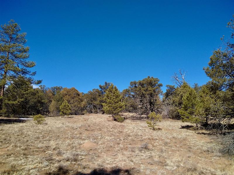 Indian Wells : Texas Creek : Fremont County : Colorado
