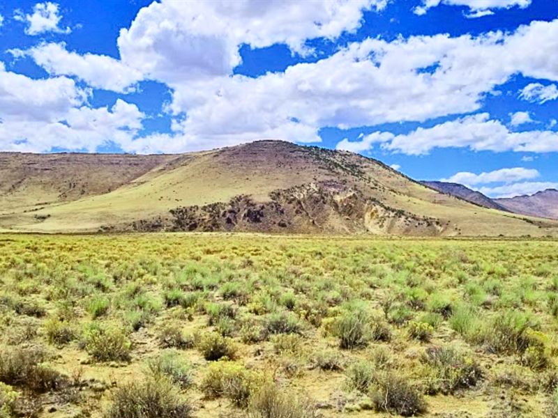 Spectacular View, River Nearby : San Luis : Costilla County : Colorado