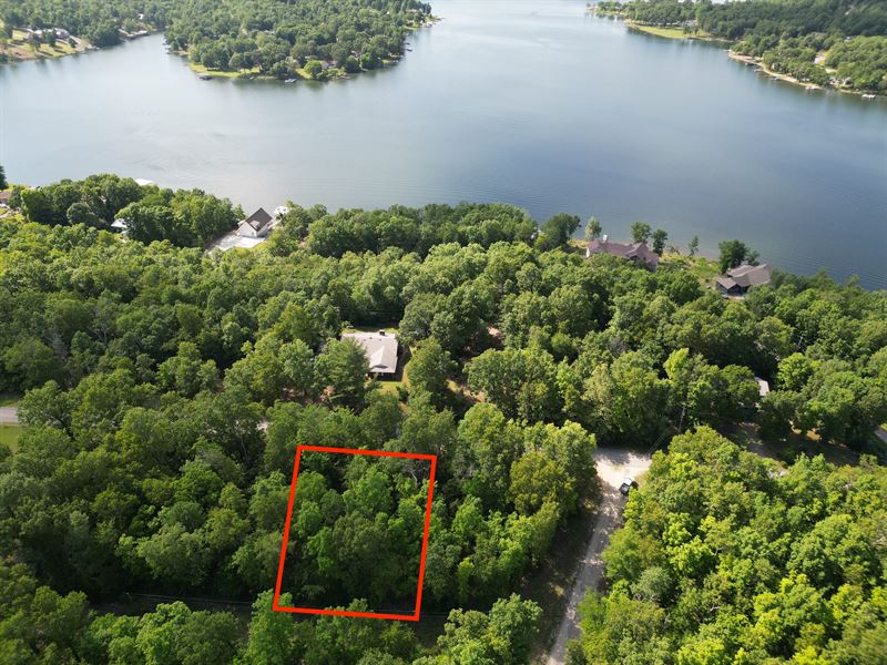 Steps Away From Lake : Horseshoe Bend : Izard County : Arkansas