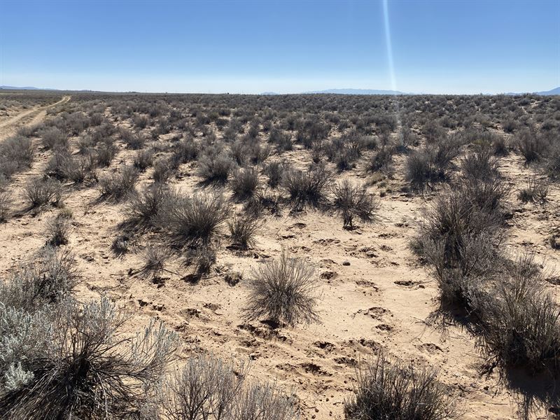 The Perfect Escape : Valencia : Valencia County : New Mexico