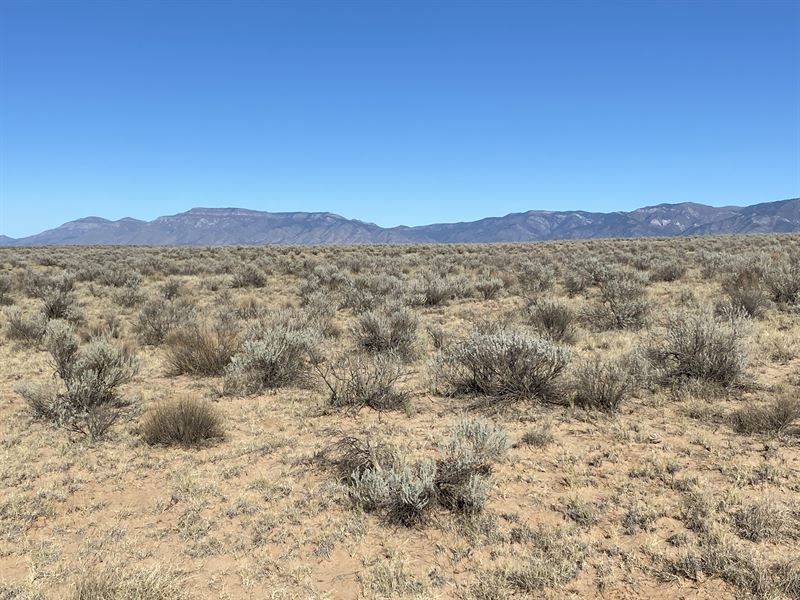 Cheers to a Fresh Start : Valencia : Valencia County : New Mexico