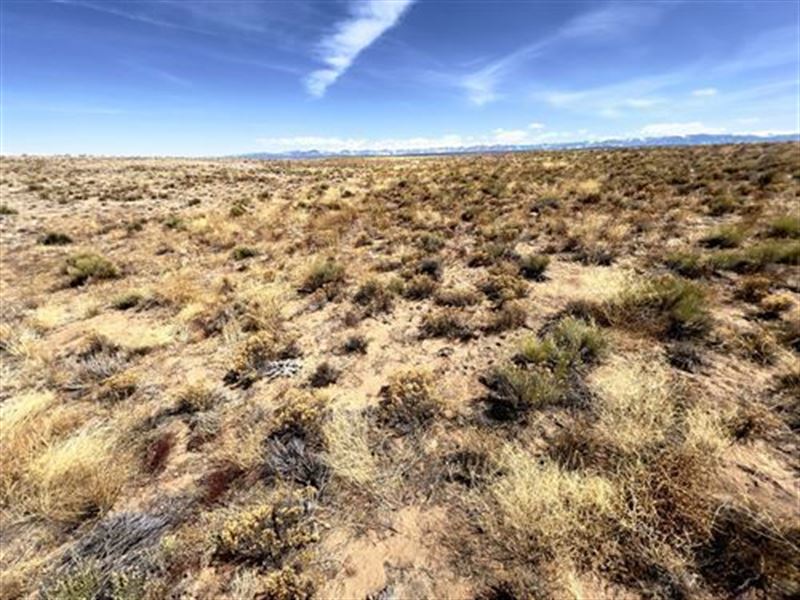 $123/Mo, Close to The Rio Grande : San Acacio : Costilla County : Colorado