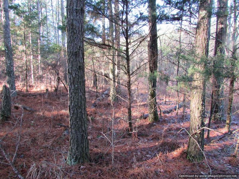 5 AC Residential Lot in Canton, MS : Canton : Madison County : Mississippi