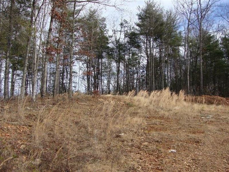 Manufactured Home Lot : Murphy : Cherokee County : North Carolina