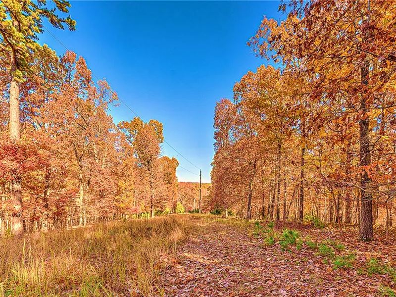 Your Recreational Haven Awaits : Bella Vista : Benton County : Arkansas