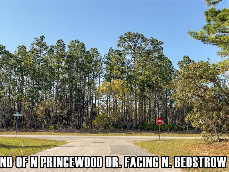 Owner Finance Beverly Hills 1.35 Ac : Beverly Hills : Citrus County : Florida
