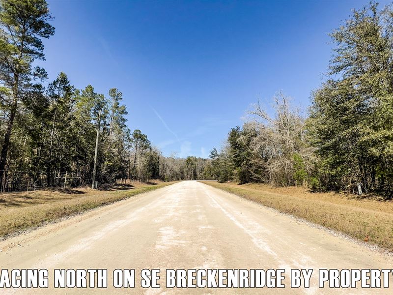 5.01 Acres in FL with Owner Finance : Lee : Madison County : Florida