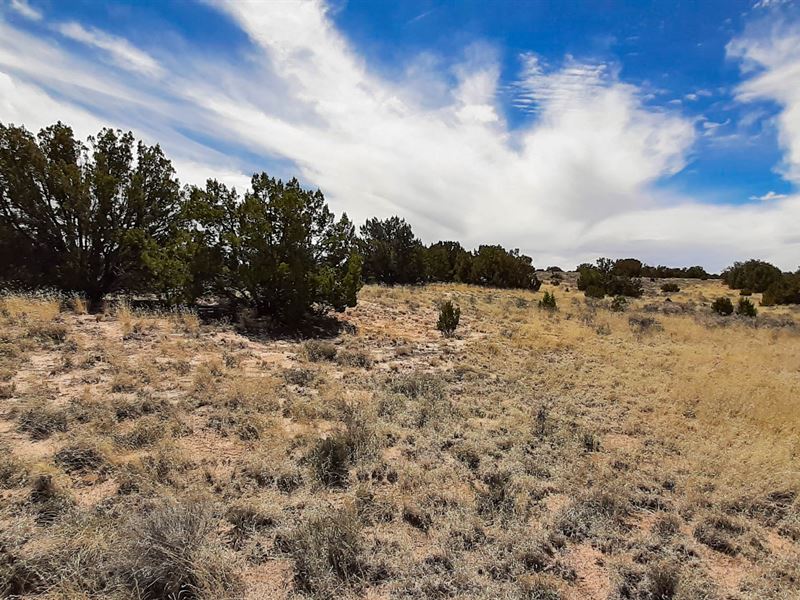 Ideal Place to Seek Adventure : Sanders : Apache County : Arizona