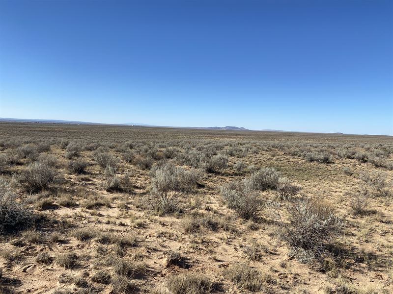 Unspoiled Nature : Valencia : Valencia County : New Mexico