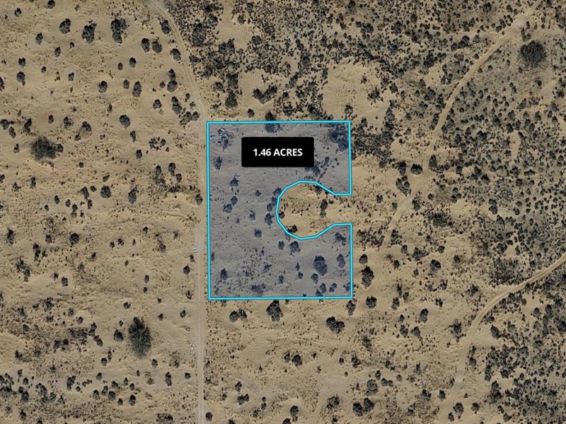 Priceless Piece Of Raw Land : El Paso : El Paso County : Texas