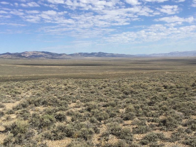 10 Acres of Nevada Dream Land : Elko : Elko County : Nevada