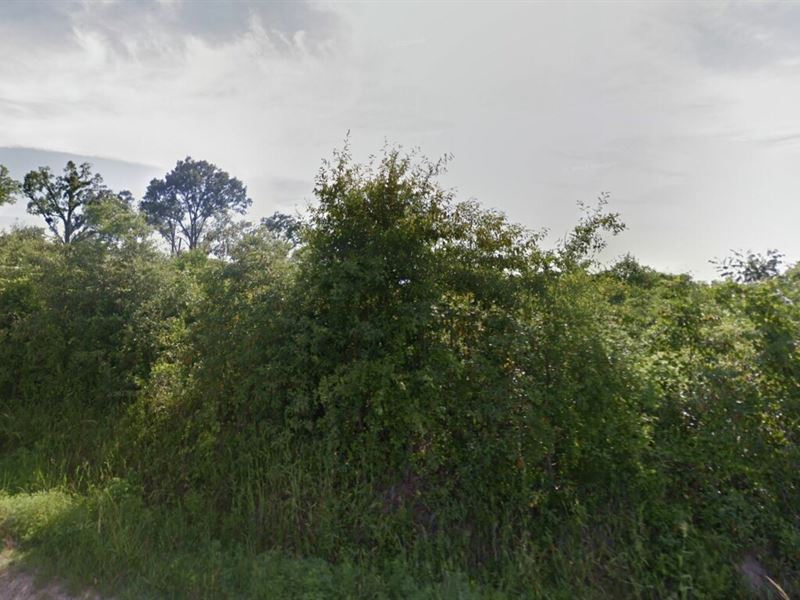 2.5 Ac for Sale in Kirbyville, TX : Kirbyville : Jasper County : Texas