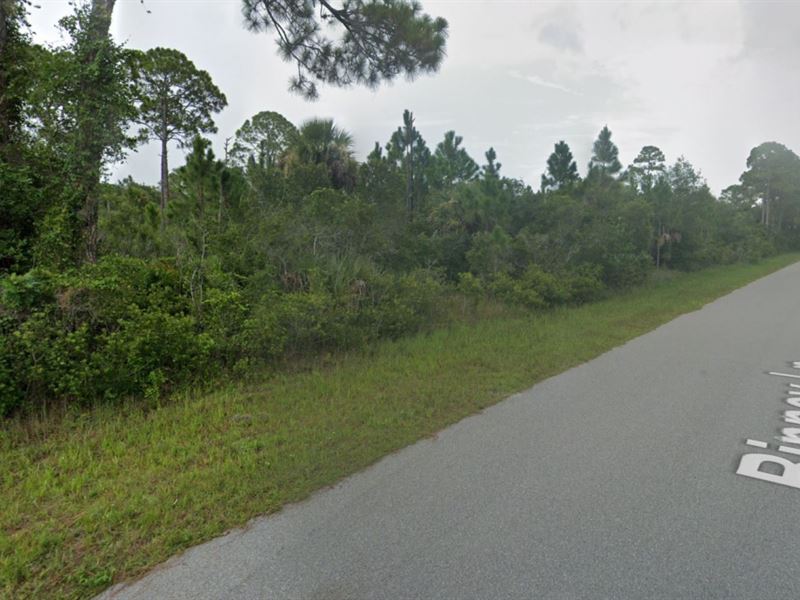 2 Lots for Sale in Port Charlotte : Port Charlotte : Charlotte County : Florida