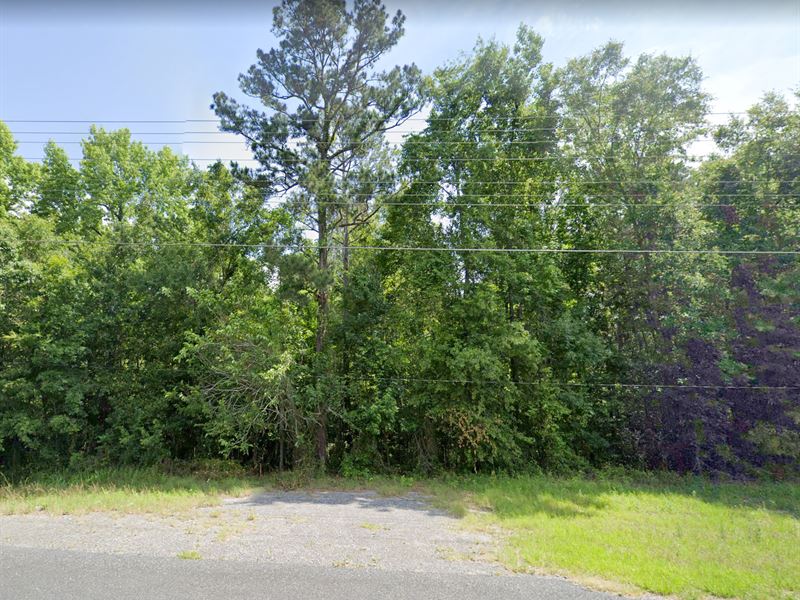 High & Dry Lot : Havana : Gadsden County : Florida