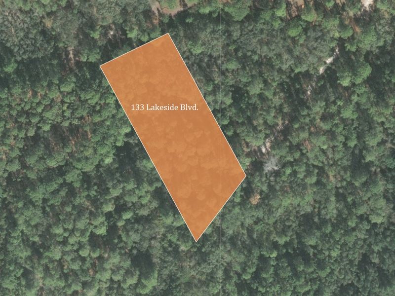 Huge Wooded Lot Near Margaret Lake : Pomona Park : Putnam County : Florida