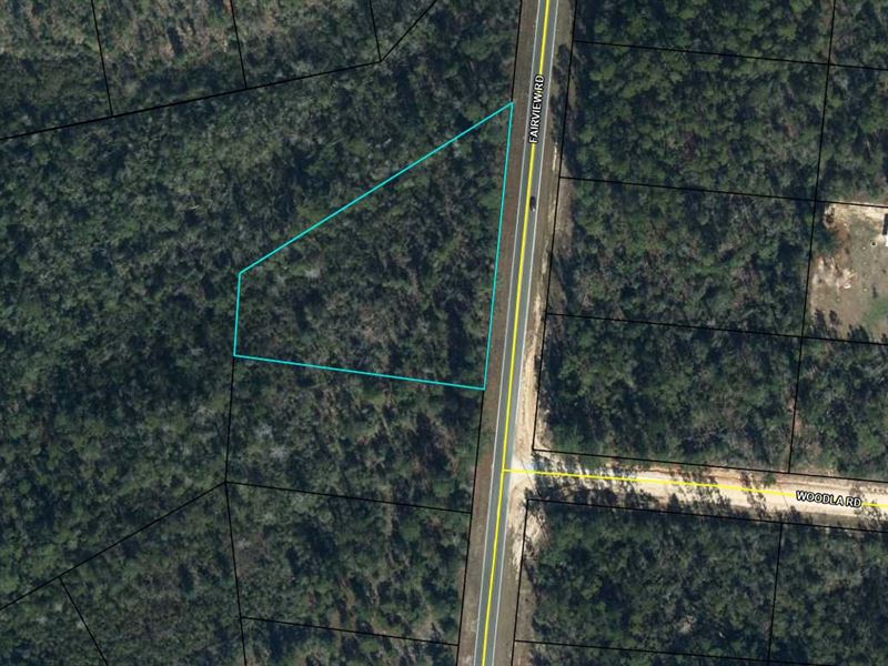 Privacy Abounds on This 1.5+ Acre : Alford : Jackson County : Florida