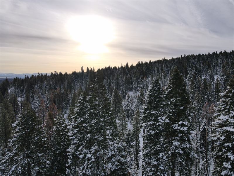 Time to Hit The Trails : Alturas : Modoc County : California