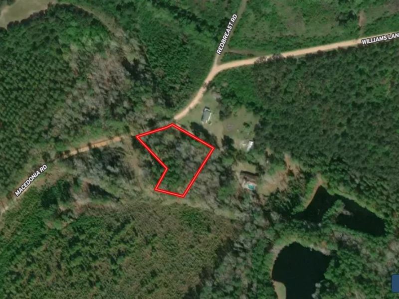Lot Near Ogeechee River : Statesboro : Bulloch County : Georgia