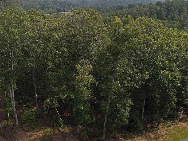 1.36 Acres for Sale in Murphy, NC : Murphy : Cherokee County : North Carolina