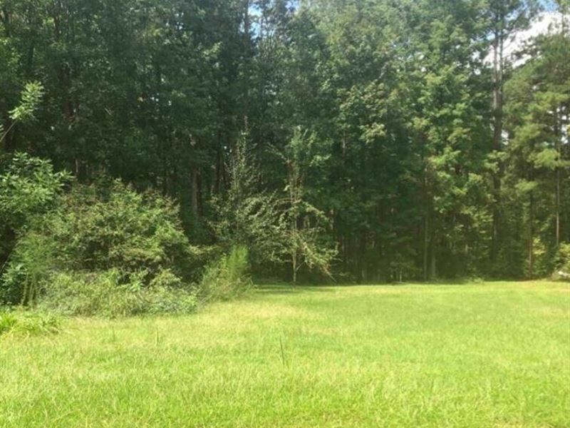 .94 Acre for Sale in Sparta, GA : Sparta : Hancock County : Georgia