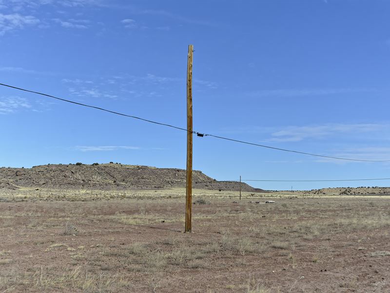 1.04 Acre with Road Access, Power : Sanders : Apache County : Arizona